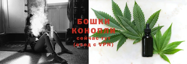 ГАЛЛЮЦИНОГЕННЫЕ ГРИБЫ Снежногорск