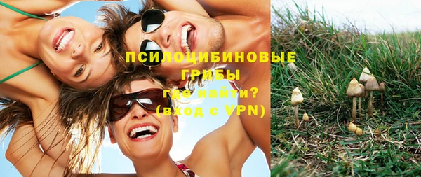 Альфа ПВП Абдулино
