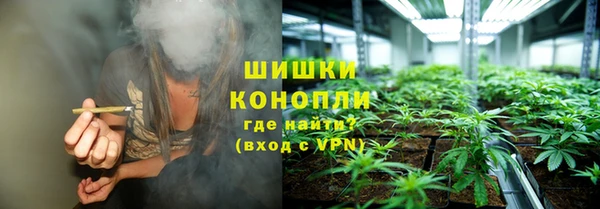 трава Снежинск